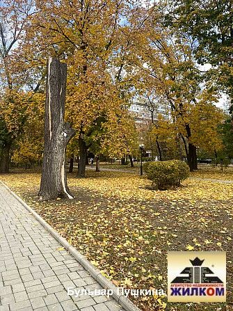 Смотреть фото